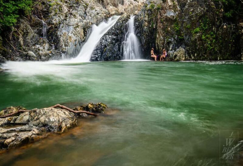 Daintree Rainforest: Magic Waterfall Walk with Lunch & Swim - An In-Depth Look at the Daintree Magic Waterfall Tour