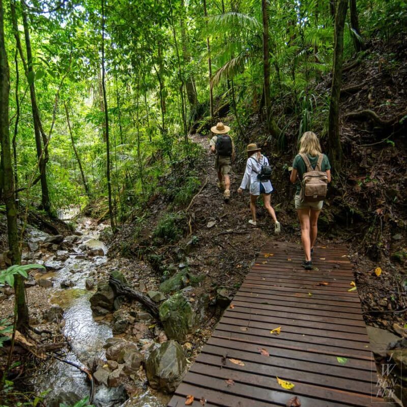 Daintree Rainforest: Magic Waterfall Walk with Lunch & Swim - FAQs About the Daintree Rainforest: Magic Waterfall Walk with Lunch & Swim
