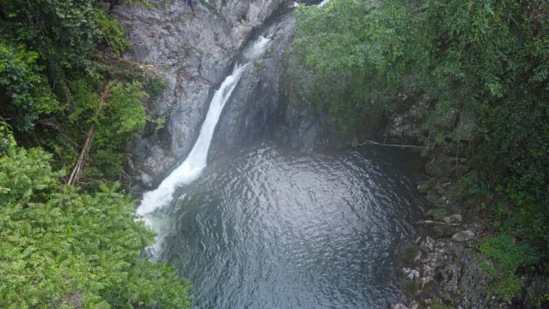 Daintree Rainforest: Waterfall Walk, Swim & Crocodile Cruise - Final Thoughts: Who Should Consider This Tour?