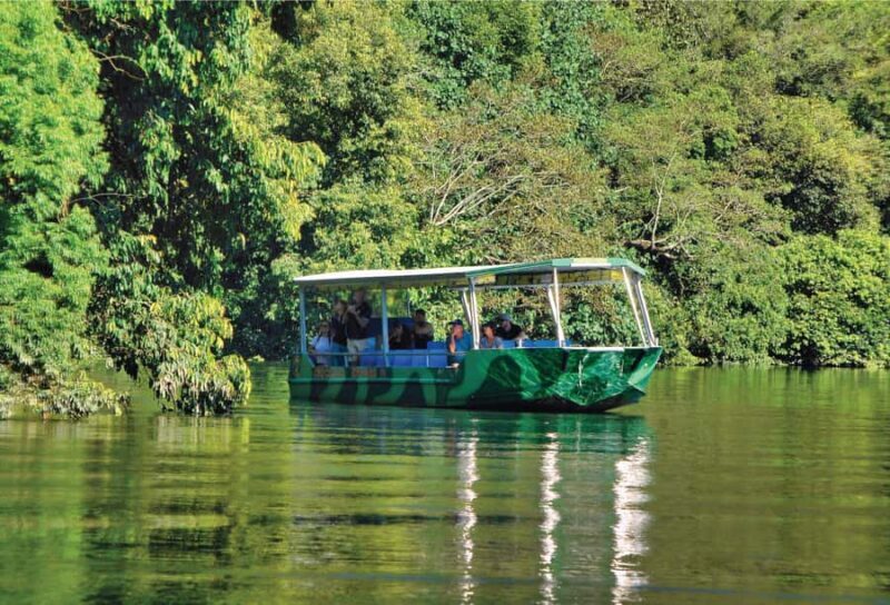 Daintree: River Rainforest Crocodile & Wildlife Cruise (DV) - Daintree: River Rainforest Crocodile & Wildlife Cruise (DV) — An In-Depth Look