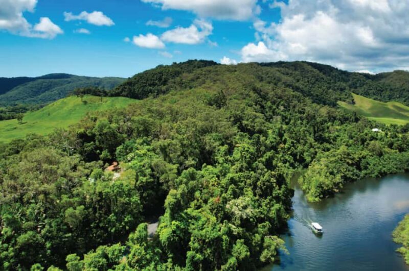Daintree: River Rainforest Crocodile & Wildlife Cruise (DV) - The Bottom Line: Is It Worth It?