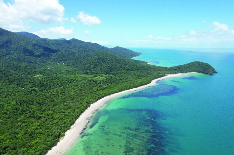 Daintree River Rainforest: Crocodile & Wildlife Cruises (DG) - Practical Tips for Visitors