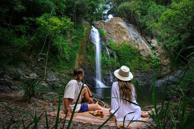 Daintree Sensations - A Practical Look at Daintree Sensations: An Authentic Taste of Tropical North Queensland