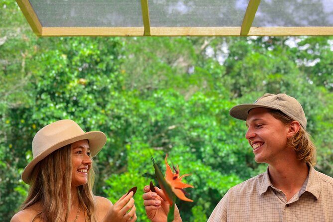 Daintree Sensations - Key Points