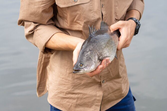 Daintree Sensations - Transport, Timing, and Group Size