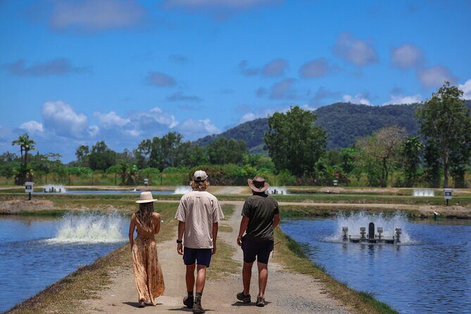 Daintree Sensations - Authentic Feedback: What Past Travelers Say