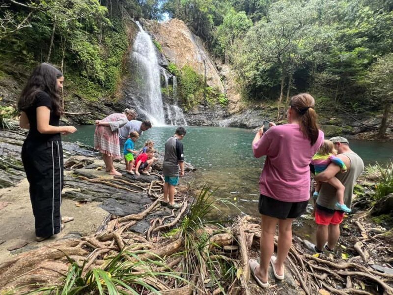 Daintree waters tour, all terrain vehicles and light lunch. - Key Points  