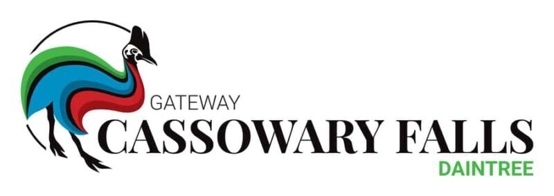 Daintree waters tour, all terrain vehicles and light lunch. - FAQs