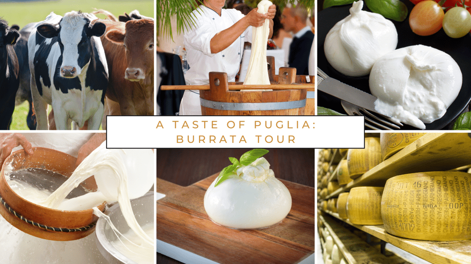 Dairy Farm Tour in the Apulian Countryside! - Tour Overview and Pricing