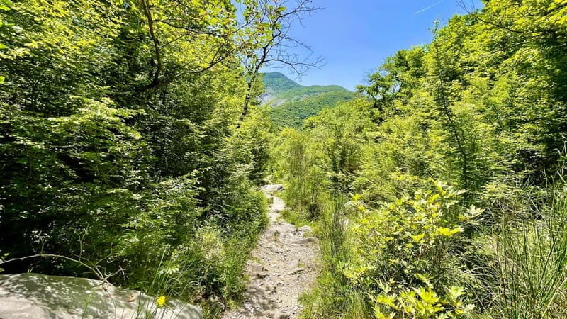 Dajti Mountain & Shengjergj Waterfall Day Trip on Land Rover - The Sum Up