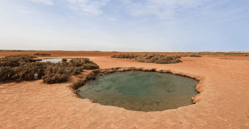 Dakhla : Desert Excursion to Imlili - Good To Know
