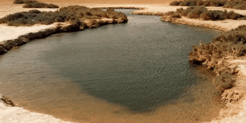 Dakhla : Desert Excursion to Imlili - Encountering Sahrawi Nomadic Culture