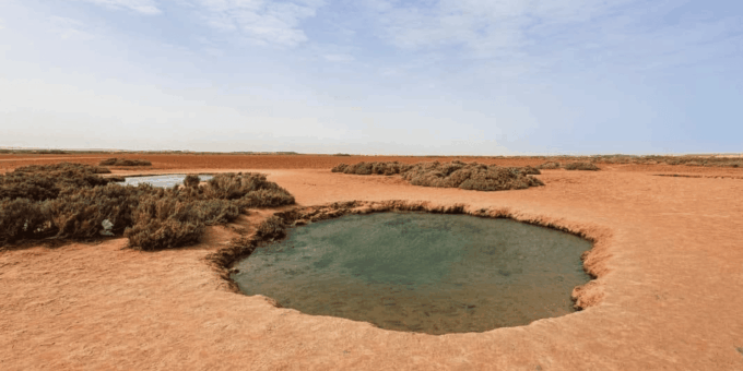 Dakhla : Desert Excursion to Imlili - Essentials and Recommendations