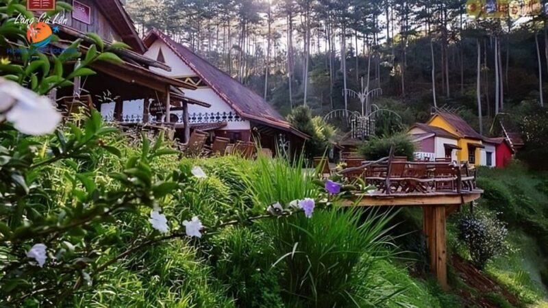 Dalat Amazing Tour - Experience Highlights