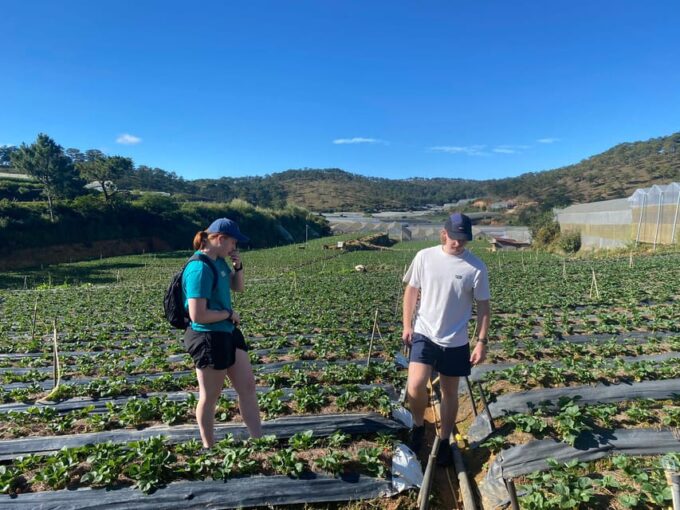 Dalat ATV Discovery: Highland Adventure on Scenic Trails - Frequently Asked Questions