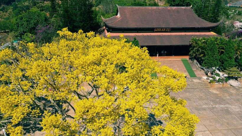 Dalat Countryside & Pongour Waterfall Tours (Small Group) - Tour Overview