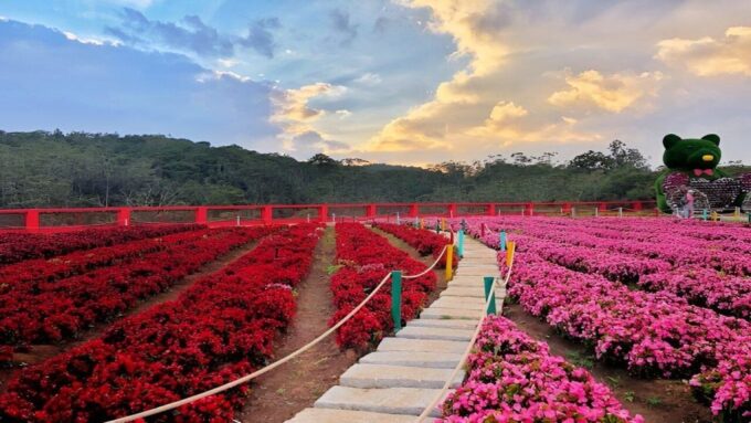 Dalat Countryside Tour - Frequently Asked Questions