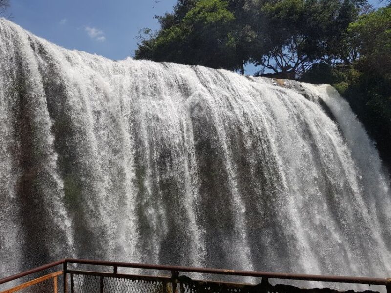 Dalat: Countryside Tour With Silk Village & Elephant Falls - Agricultural Insights