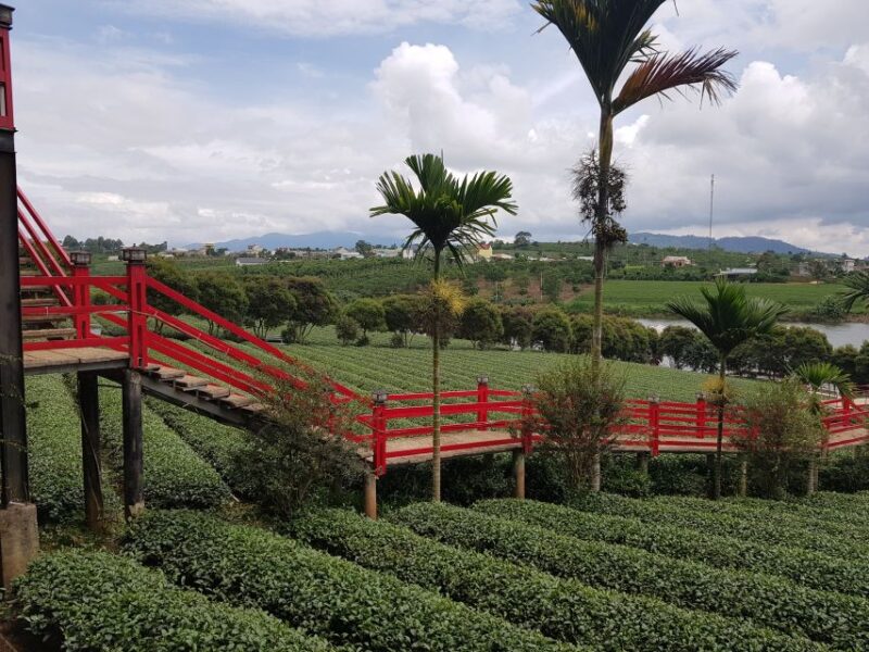 Dalat: Countryside Tour With Silk Village & Elephant Falls - Included Amenities and Services