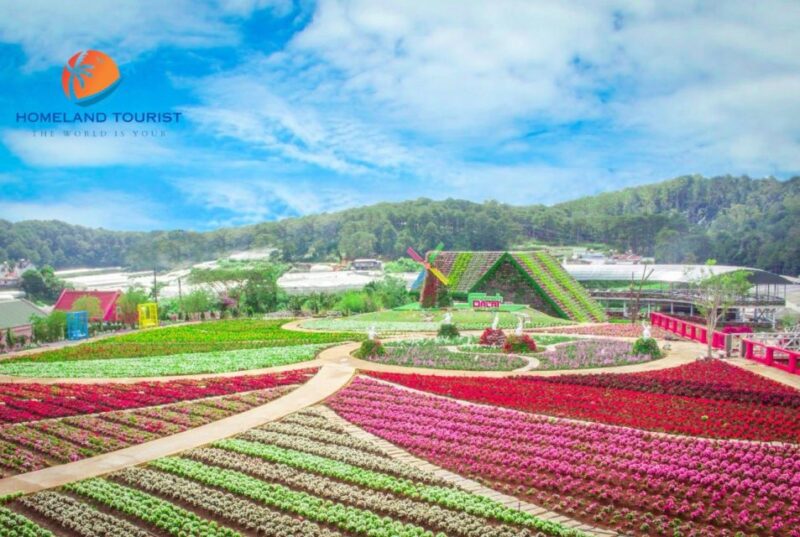Dalat Culture Tour - Morning Activities