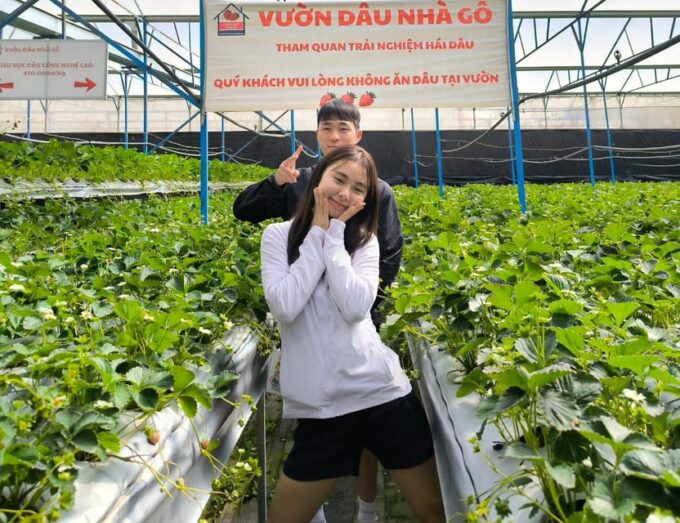 DaLat: Langbiang Mountains, Datanla Waterfall, Crazy House - Robin Hill Cable Car
