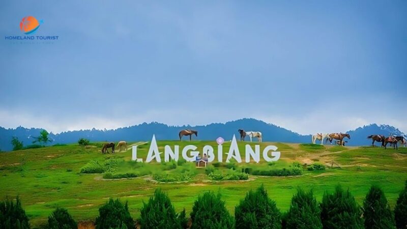 Dalat Nature Tour - Golden Valley Experience