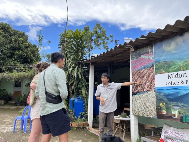 Dalat Organic Farm, Discover How to Make Specialty Coffee - Highlights of the Tour
