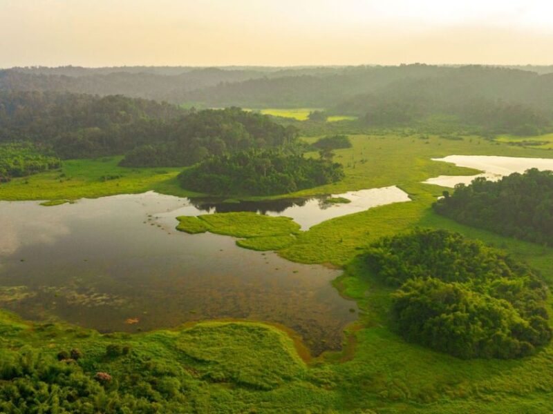Dalat to Cat Tien National Park, Drop-Off Ho Chi Minh - Key Points