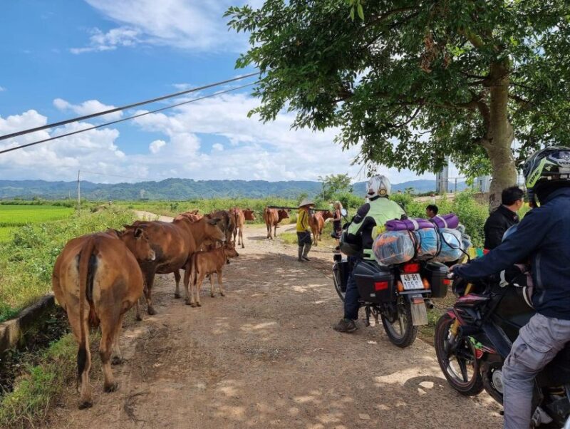 Dalat to Cat Tien National Park, Drop-Off Ho Chi Minh - Day 1 Activities