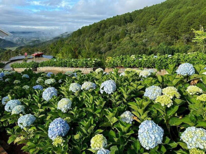 Dalat: Top Attractions Visit Day Tour - Visiting Dalat Railway Station