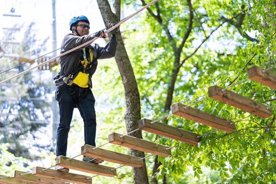 Dallas: Aerial Adventure Course Park Pass - Key Points
