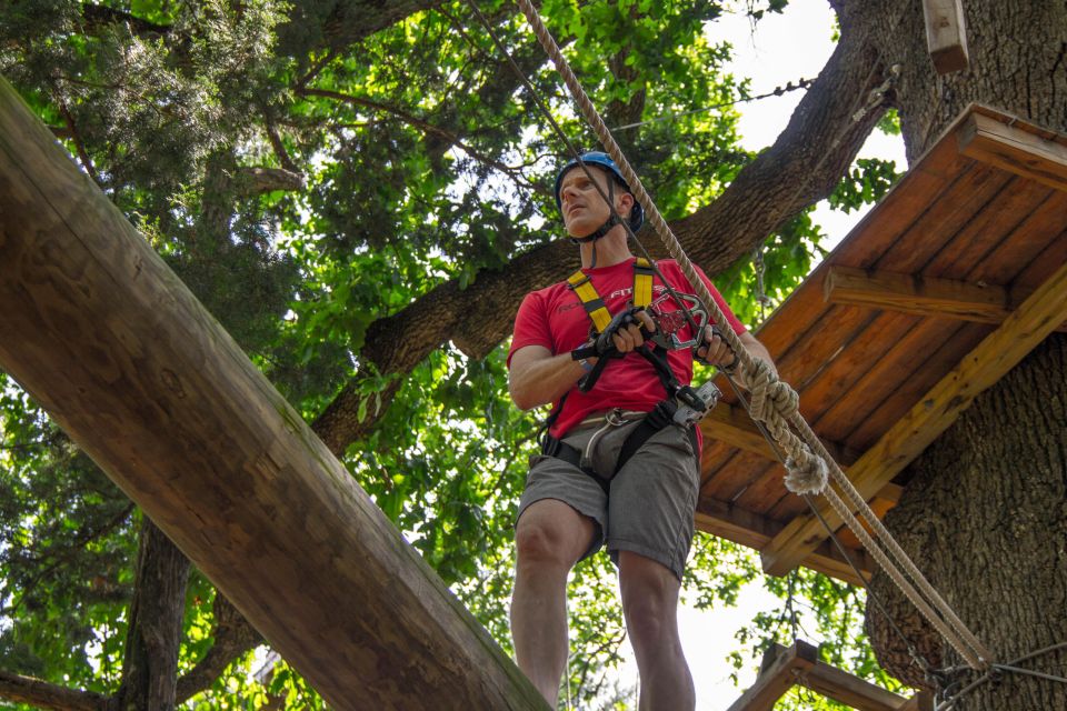 Dallas: Aerial Adventure Course Park Pass - Highlights of the Experience