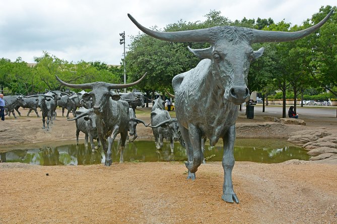 Dallas and JFK Cruizer Tour - Additional Information