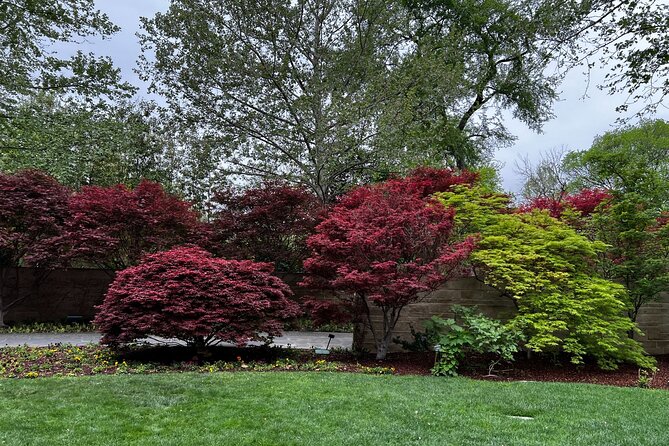 Dallas Arboretum and Botanical Gardens Tour - Accessibility and Health Restrictions