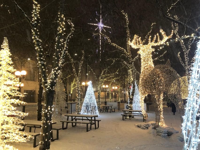 Dallas Holiday Splendor: A Festive Walk - Key Points