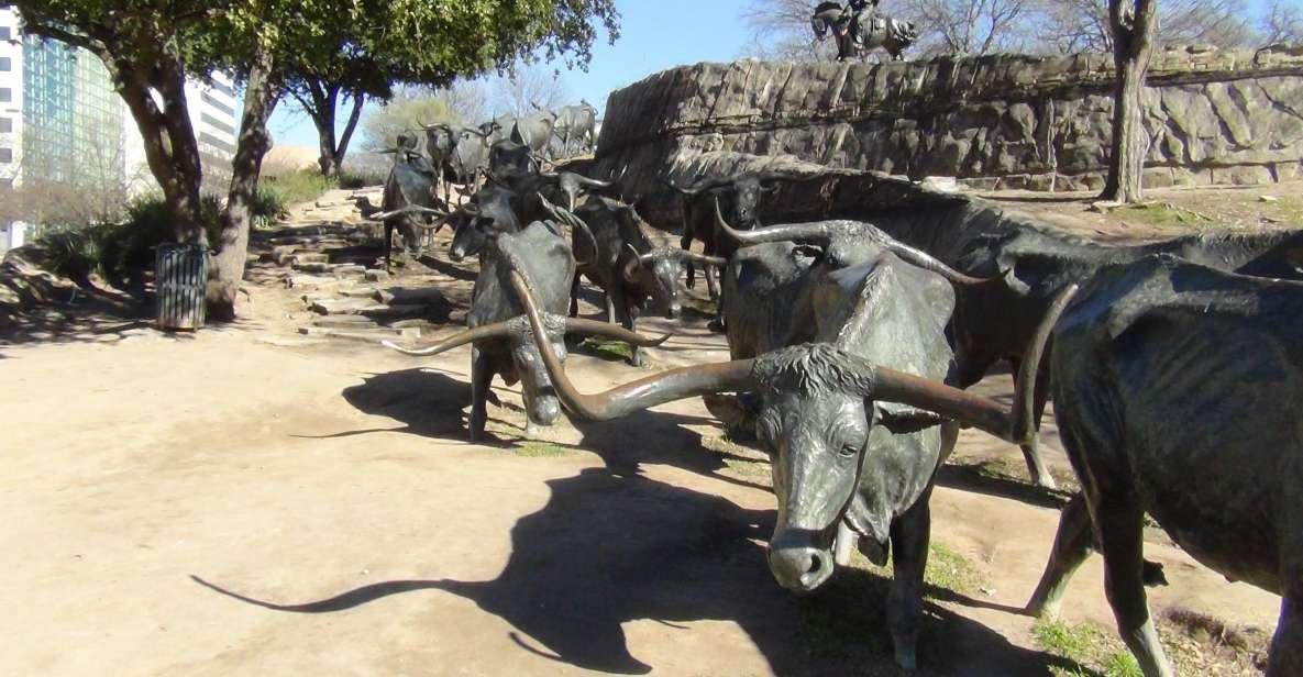 Dallas: Welcome to Dallas 3-Hour Small Group Tour by Van - Tour Details