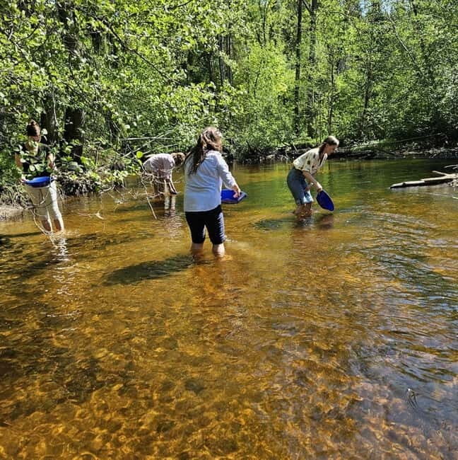 Dals Långed: Gold Panning Experience - Overview of the Gold Panning Experience
