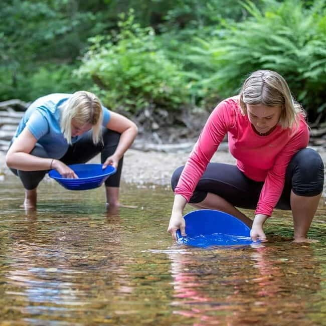 Dals Långed: Gold Panning Experience - The Environment and Practical Details
