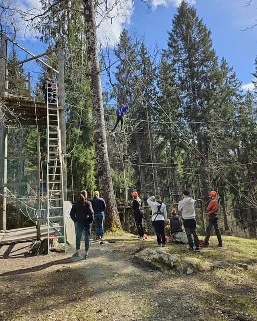 Dals Långed: High Ropes Adventure for Adults and Kids - Key Points