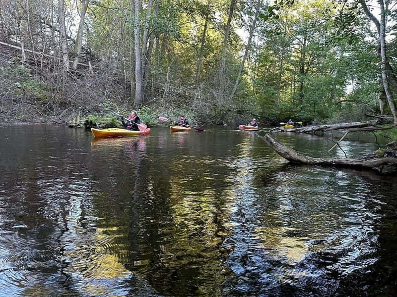 Dals Långed: Steneby River Kayaking Tour - Exploring the Dals Långed: Steneby River Kayaking Tour