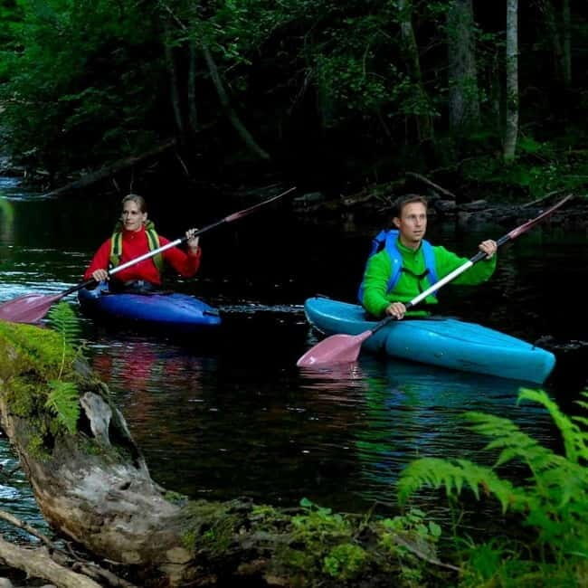 Dals Långed: Steneby River Kayaking Tour - Wildlife and Nature Encounters
