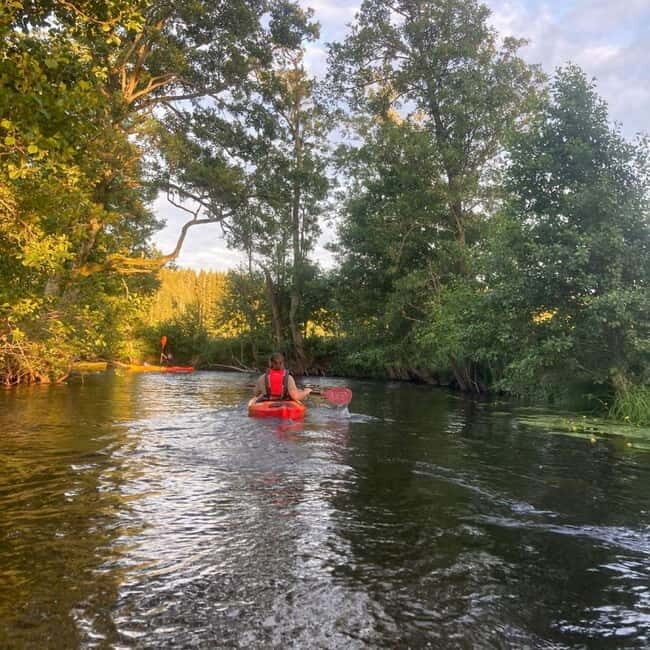 Dals Långed: Steneby River Kayaking Tour - Practical Details and Value