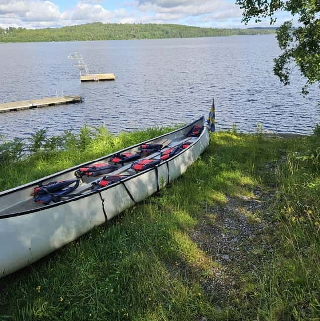 Dals Långed: Steneby River Kayaking Tour - The Experience of a Lifetime or a Quiet Day?