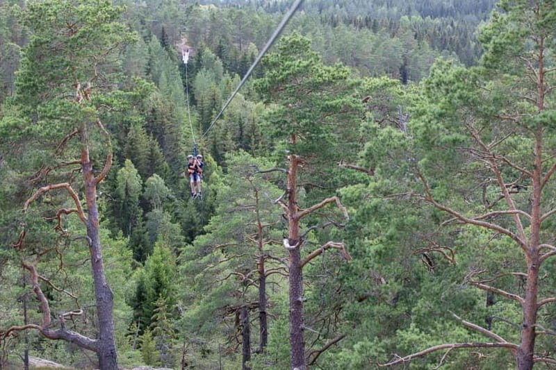 Dals Långed: Zipline Adventure at Steneby Gård - An Honest Look at the Zipline Experience