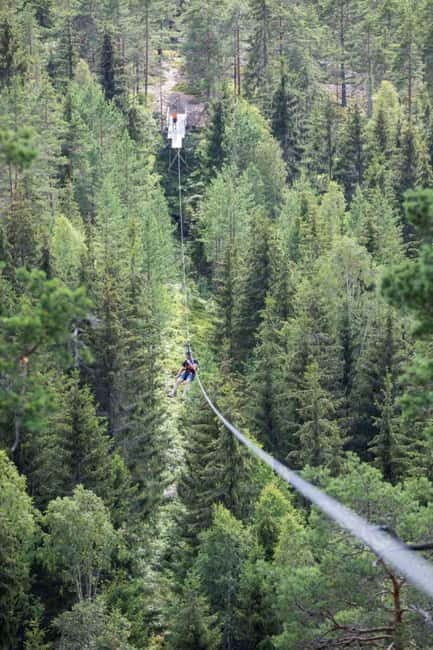 Dals Långed: Zipline Adventure at Steneby Gård - What Makes This Zipline Stand Out?
