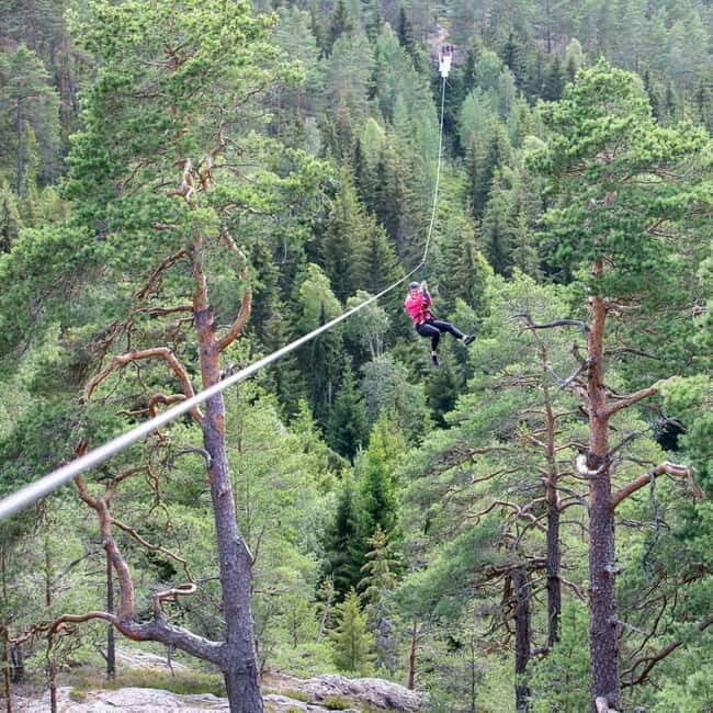 Dals Långed: Zipline Adventure at Steneby Gård - The Value of the Experience