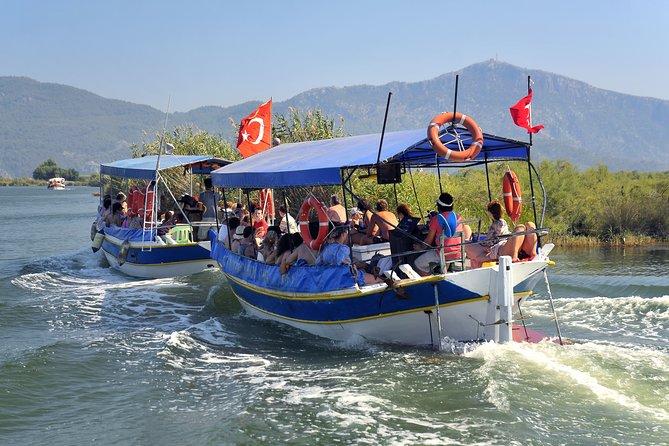 Dalyan Mud Baths and Turtle Beach Day Tour From Fethiye - Detailed Tour Itinerary