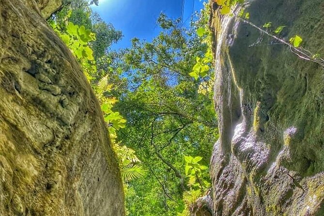 Damajagua the 7 Waterfalls Excursion - Amber Cove & Taino Bay - Guided Hiking and Navigating