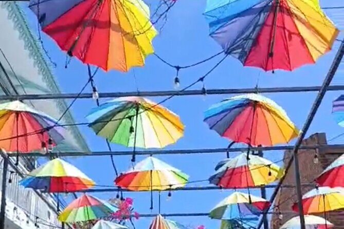 Damajagua Waterfall and Puerto Plata City Tour with Lunch - Logistics and Practicalities