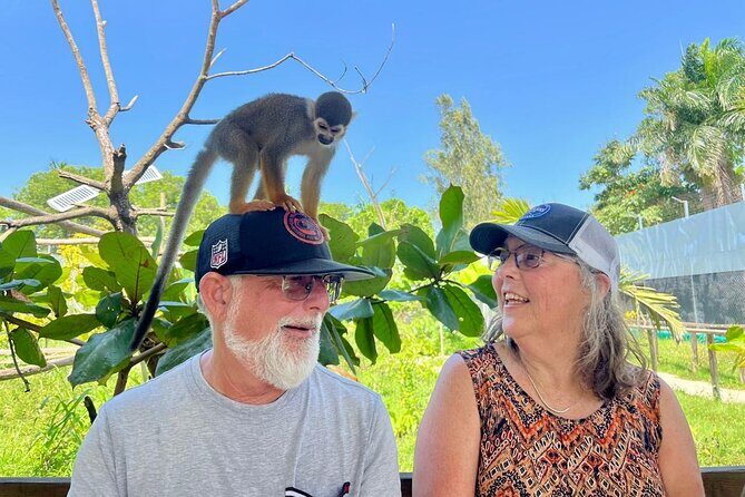 Damajagua Waterfalls and Monkey Private Van Tour - An In-Depth Look at the Damajagua Waterfalls and Monkey Tour